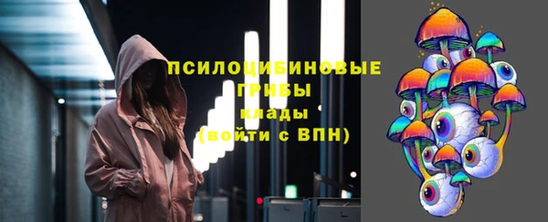 винт Аркадак