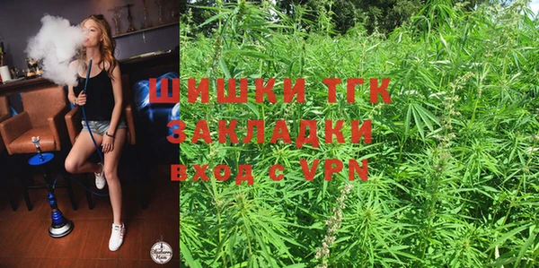 винт Аркадак