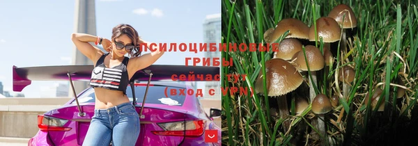 бошки Арсеньев