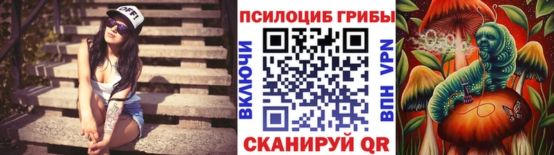 Псилоцибиновые грибы GOLDEN TEACHER  Бобров 